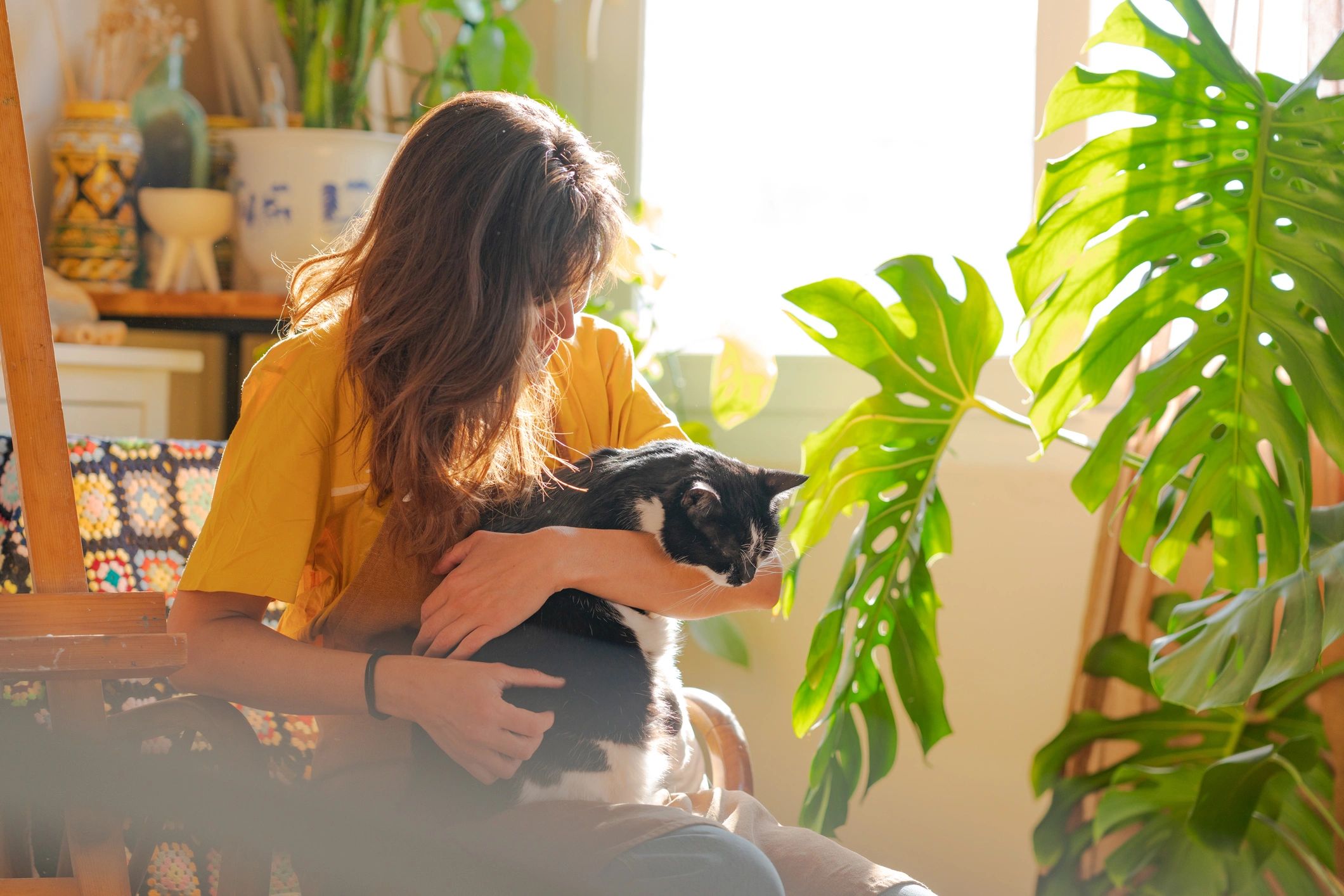 Pet sitter holding a cat indoors