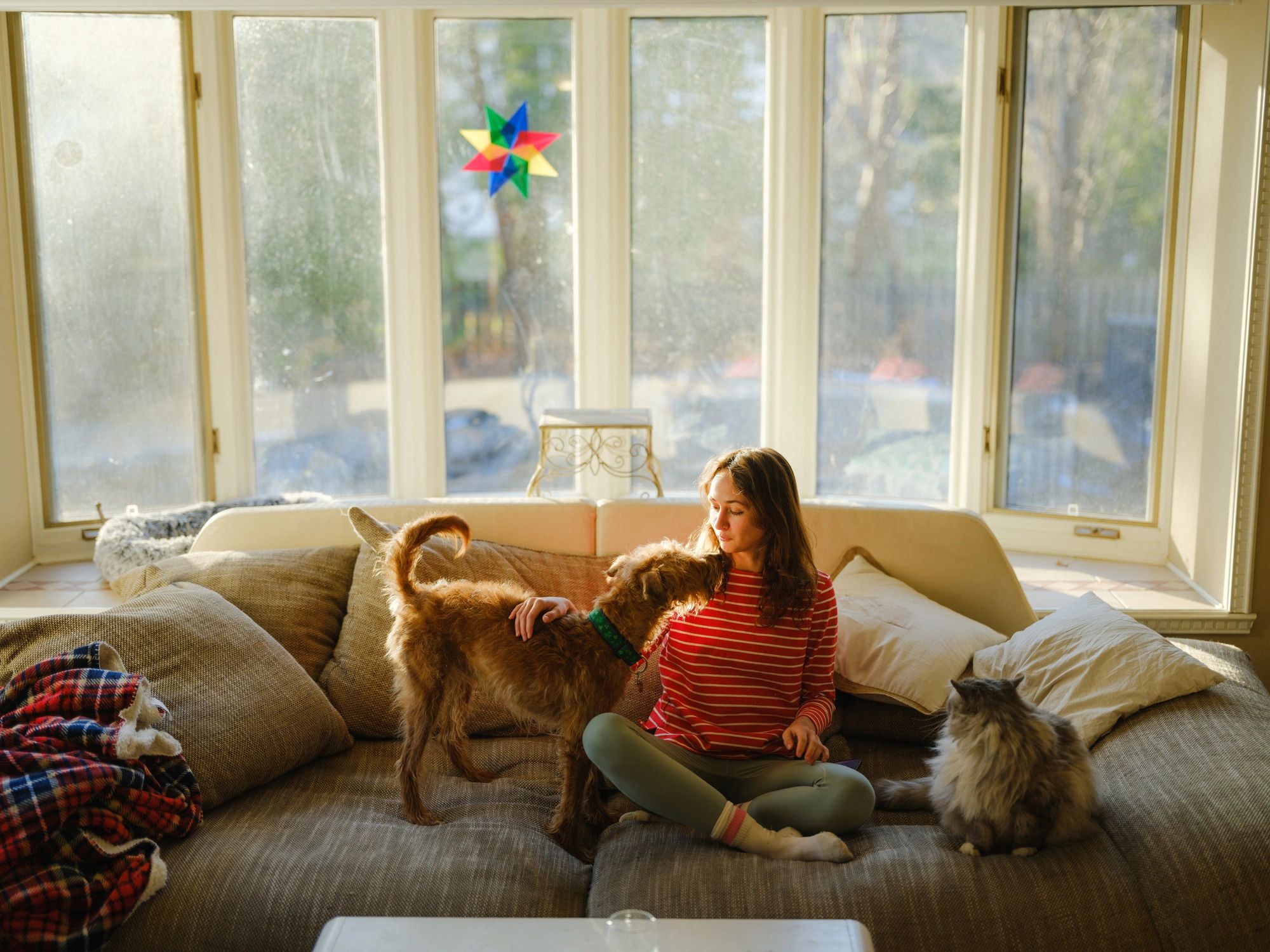 Dog and cat cuddling on a sofa